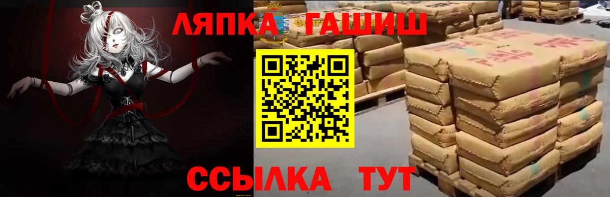 ГАШ гарик Курск